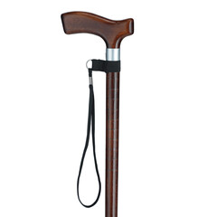 Pútko na vychádzkovú palicu